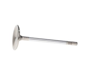 Ford V8 Engine Intake Valves (Set of 8) - Manley Performance - Race Series Stainless Steel - `99-`12 Ford V8 Engine Intake Valves (Set of 8) - Manley Performance - Race Series Stainless Steel - `99-`12